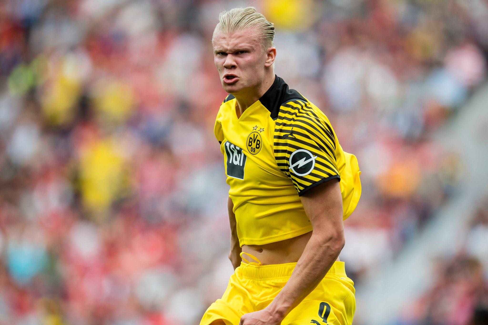 记者：申花将给球员放短假，12月2日重新集中备战广岛三箭（申花为球员安排短假，球队将于12月2日再度集结备战广岛三箭）